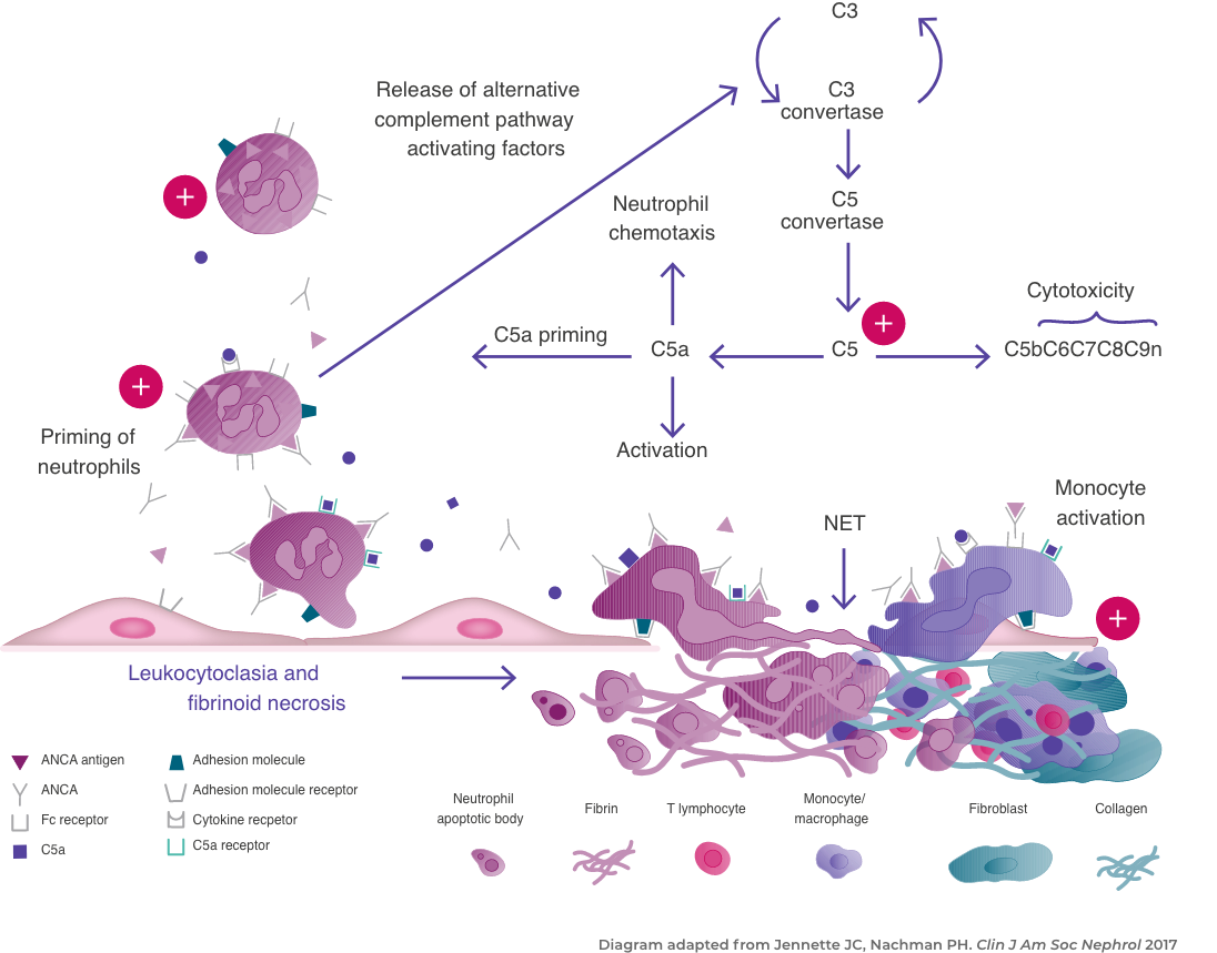 disease mechanism desktop