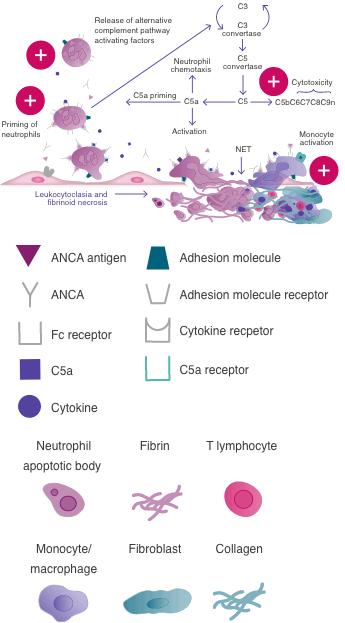 disease mechanism Mobile